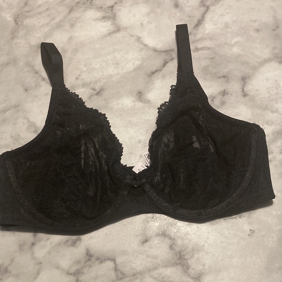 Auden - Picture 6 of 16